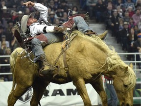 An Israeli woman has been ordered out of Canada after being arrested for working in Edmonton illegally during the Canadian Finals Rodeo.