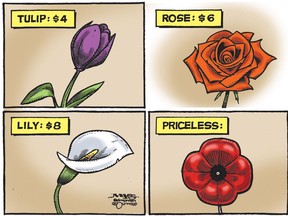 Unlike other flowers, the Remembrance Day poppy is priceless.