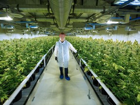 Cam Battley, Senior Vice President with Aurora Cannabis Inc., stands in one of the ten marijuana grow rooms inside the company's 55,000 square foot medical marijuana production facility near Cremona, Alberta on Wednesday July 27, 2016.