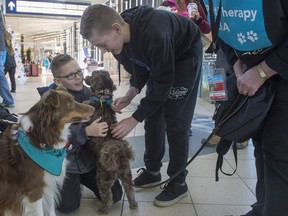 Logan Corey and Dallas Lukin pet Cheri, the pet therapy dog, before Logan departed for the holidays. This Friday, Dec. 23 will  be the busiest day of the year at the Edmonton International Airport with 20 per cent more travellers than usual.  It is estimated that 24,000 people are flying and more than 50,000 people dropping them off or greeting them.