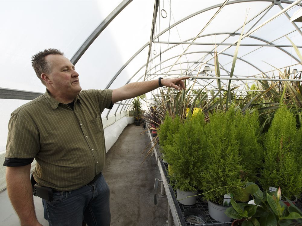 Carbon tax relief for Alberta greenhouses Edmonton Journal
