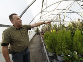 Michiel Verheul gives a tour of High Q Greenhouses outside of Morinville on Wednesday, Dec. 21, 2016. The greenhouse industry is concerned about the coming impact of Alberta's carbon tax.