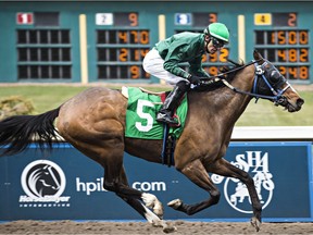 Larry Munoz rides Storm's Battle across the finish line during the first day of thoroughbred racing at Northlands Park in Edmonton, on Saturday, May 2, 2015. (File)