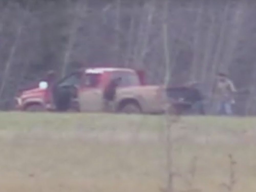 Alberta Wildlife officers looking for alleged poachers caught on video Edmonton Journal