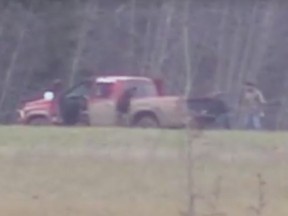 A screen capture from a video released by Alberta Fish and Wildlife showing an alleged deer poaching in progress.