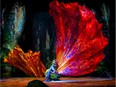 Toruk - The First Flight, a Cirque du Soleil show coming to Rogers Place.