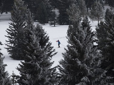A cross-country skiers make their way through the Victoria Golf Course, in Edmonton Monday Jan. 23, 2017.