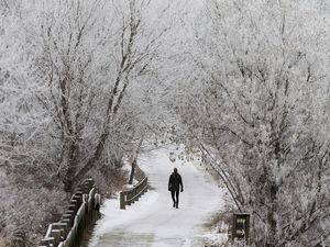 Samuel Teka is framed by frosted trees as he walks through the river valley near 116 Street and 100 Avenue , in Edmonton Monday Jan. 23, 2017.
