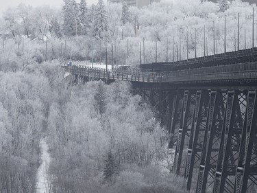 The High Level Bridge and Edmonton's river valley are covered in frost, Monday Jan. 23, 2017.