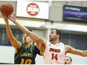 U of A Golden Bears' Brody Clarke and University of Calgary Dinos' Connor Foreman battle for a loose ball during last year's Canada West playoffs. The rival squads split their series this past weekend with Alberta suffering its first defeat of the 2016-17 season. (Jim Wells)