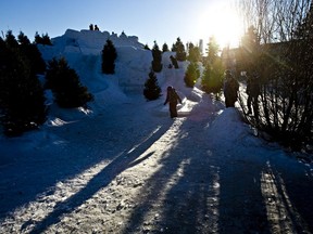 A child casts a long shadow during the Ice on Whyte festival on Monday, Jan. 27, 2014. The 2017 event starts Jan. 26.