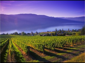 Many Canadian wineries, including those in the Okanagan, are producing great quality wine.