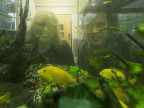 Ross Shaw and Paula Polman want to get a public aquarium built in Edmonton.