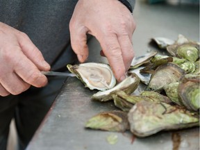 Raw oysters.