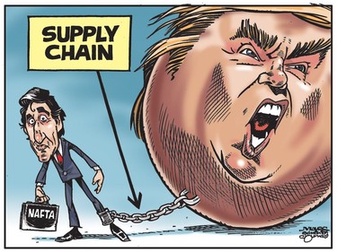 NAFTA supply chain ties Justin Trudeau to Donald Trump. (Cartoon by Malcolm Mayes)