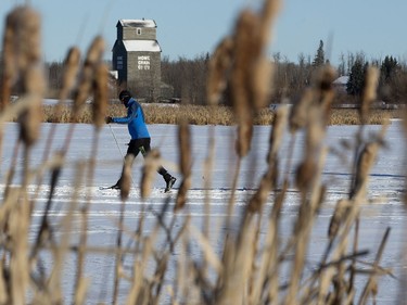 A cross-country skier makes their way across Goose Lake near the Ukrainian Cultural Heritage Village, during the Canadian Birkebeiner on Saturday, Feb. 11, 2017.