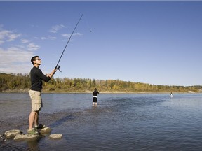 (Left to right) Patrick Li, Ahreum Lee and Glen Brandt fish in the North Saskatchewan River at Whitemud Park in 2012. The mouth of Whitemud Creek is one of the most popular fishing holes in Edmonton.