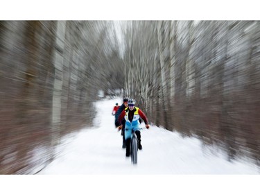 Cyclists make their way down a tree lined trail during the FatBike Fest race at the Silver Skate Festival in Hawrelak Park, in Edmonton Sunday Feb. 12, 2017. Photo by David Bloom