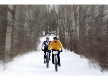 Cyclists make their way down a tree lined trail during the FatBike Fest race at the Silver Skate Festival in Hawrelak Park, in Edmonton Sunday Feb. 12, 2017. Photo by David Bloom