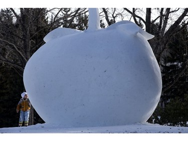 A young boy looks at a snow sculpture on display during the Silver Skate Festival in Hawrelak Park, in Edmonton Sunday Feb. 12, 2017. Photo by David Bloom