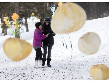 Visitors to the Silver Skate Festival are framed by lanterns as they walk through Hawrelak Park, In Edmonton Sunday Feb. 12, 2017. Photo by David Bloom