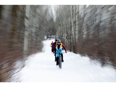 Cyclists make their way down a tree lined trail during the FatBike Fest race at the Silver Skate Festival in Hawrelak Park, in Edmonton Sunday Feb. 12, 2017. Photo by David Bloom