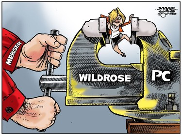 Rachel Notley squeezed by right wing merger. (Cartoon by Malcolm Mayes)