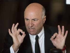 Either Kevin O'Leary is an ignoramus who has no idea how the Constitution works, or he's hoping to mislead voters who actually are that ignorant, writes Paula Simons.