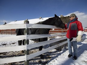 Bill Neis visits with Haven at the Whitemud Equine Centre on Thursday, March 9, 2017. Formerly homeless and addicted to drugs, Neis visits the centre twice a month as part of the Making Strides equine therapy program.