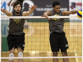 Chris Morrow, left, and Taryq Sani take part in a University of Alberta Golden Bears men's volleyball practice at the Saville Community Sports Centre, in Edmonton Wednesday, March 15, 2017. The University of Alberta Golden Bears are hosting the 2017 U Sports FOG men's volleyball national championships at the Saville Community Sports Centre from March 17-19.
