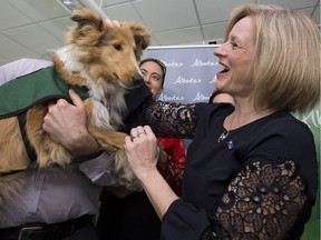 Premier Rachel Notley meets five month-old Eillie, a future service dog mother, following a press conference where she announced new qualification regulations for service dogs, at St. John Ambulance, 12304 118 Ave., in Edmonton Friday March 31, 2017.