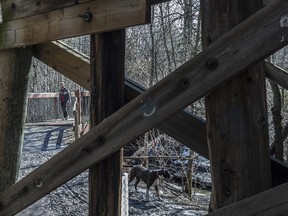 The city will be replacing all five pedestrian bridges in Mill Creek Ravine with new structures and doing rehabilitation work on the historic trestle bridges, seen on on April 2 2017, if approval is given by city council.
