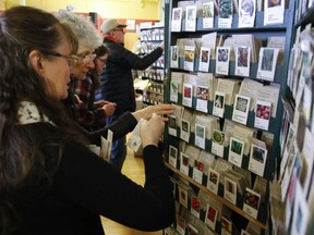 As spring arrives, gardeners have a number of online and in-store options for all of their seed needs.