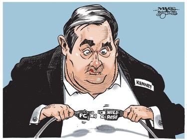 Jason Kenney tries to unite PC and Wildrose cords. (Cartoon by Malcolm Mayes)