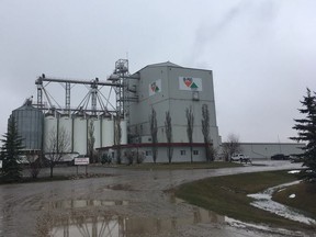 A 57-year-old Saskatchewan man was killed Monday while clearing a grain hopper at a business in Sherwood Park, police said. The man was found inside a grain hopper at the Hi-Pro Feeds business, located at 20 Liberty Rd. in Sherwood Park. The building is pictured here on April 24, 2017.