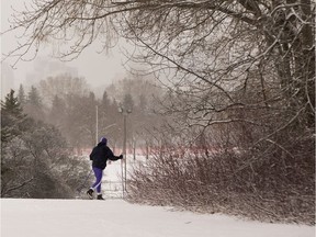 A cross country skier takes advantage of the fresh snow on Saturday April 15, 2017 at Hawrelak Park in Edmonton. Greg  Southam / Postmedia   ( Standalone photo)