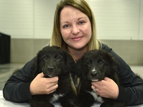Amanda Zezel with nine-week-old foster puppies, brothers Griff and Gunner, on Friday, April 28, 2017.