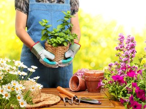 Readers suggest starting plants off in egg cartons or filling the bottom of pots with packing peanuts to help kick off your spring gardening.