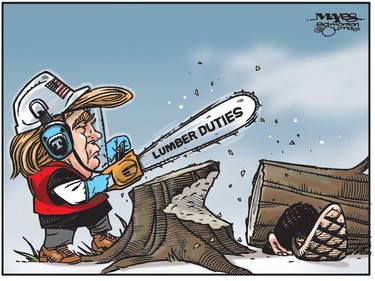 Donald Trump and Lumber Duties crush Canadian beaver. (Cartoon by Malcolm Mayes)
