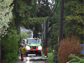 A tree has snapped falling on power lines in a back alley as EPCOR crews are on scene in the Belgravia area as the city gets pelted by rain and wind in Edmonton, May 24, 2017.