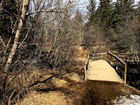 The boardwalk in Whitemud Park, which creates a trail connection within the Whitemud Creek Ravine in Whitemud Park, allowing passage through an area that is often too wet or muddy to cross, has become increasingly worn and significantly damaged by ice heave.
