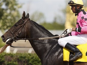 Jockey Rico Walcott enters the winner's circle on Annie's Candy as the winner of the Edmonton Journal Handicap at Northlands Park in Edmonton, Alta. on Saturday, May 27, 2017.