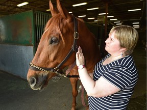 The Alberta Thoroughbred Race Club offers people the chance to own a horse for $300. Member Shannon Honey poses with two-year-old thoroughbred Roi Des Tigres on Friday May 5, 2017.