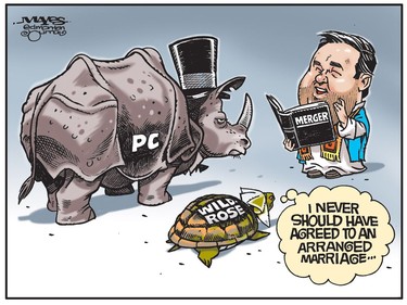 Jason Kenney arranges marriage between PCs and reluctant Wildrose parties. (Cartoon by Malcolm Mayes)