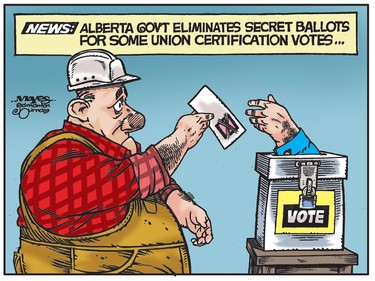 Alberta Government eliminates secret ballots for some union certification votes. (Cartoon by Malcolm Mayes)