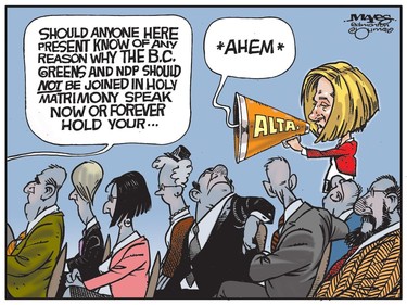 Alberta's Rachel Notley objects to marriage of B.C. Greens and NDP. (Cartoon by Malcolm Mayes)