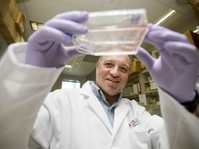 Dr. Dean Befus poses with a culture of epithelium cells in his lab at the University of Alberta in Edmonton on Monday, June 26, 2017.