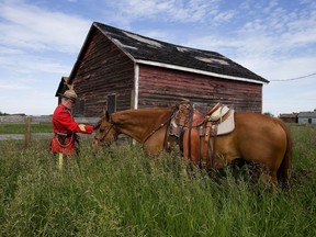 RCMP Staff Sgt. Jerry Klammer and his horse Shane take a break as they take part in a re-enactment of the historic trail ride that first brought the North West Mounted Police to western Canada, near Edmonton Friday June 30, 2017. Participants rode from Josephburg to Fort Saskatchewan.