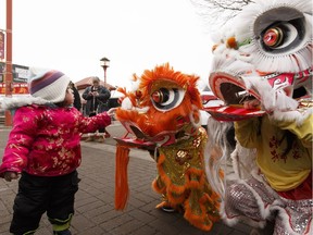 Calgarian Audrey Bartole, two, meets lion dancers Keanan Dam (orange) and cousin Mika Dam (white) during the 2017 Celebration of the Lunar New Year held in Chinatown in Edmonton on Saturday, January 28, 2017.