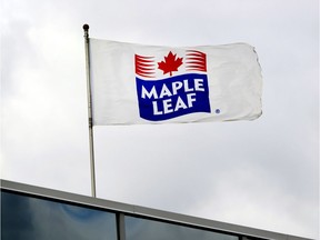 Workers at the Maple Leaf Foods poultry plant in Edmonton have voted to join the Christian Labour Association of Canada.